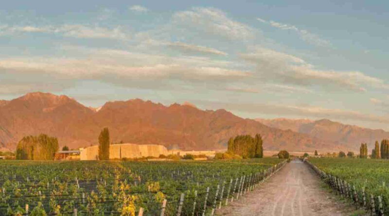 Familia Zuccardi, bodega