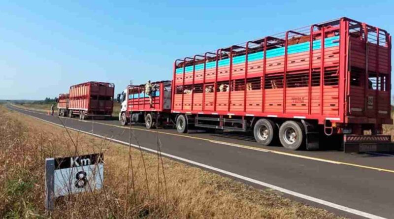 Transporte de carga, gobierno