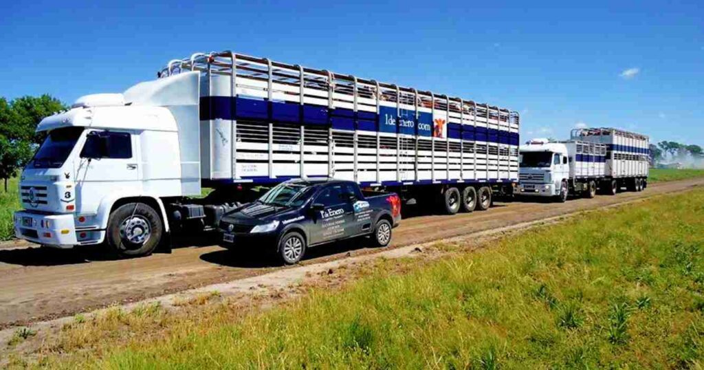 Transporte de carga, gobierno