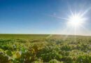 tasas viales, guías, Agricultura, fertilizantes, yara, Estados Unidos, Campo, USDA