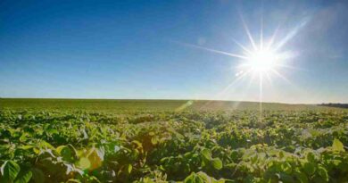 Agricultura, fertilizantes, yara, Estados Unidos, Campo, USDA