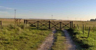 Inmobiliario rural, alquileres agrícolas