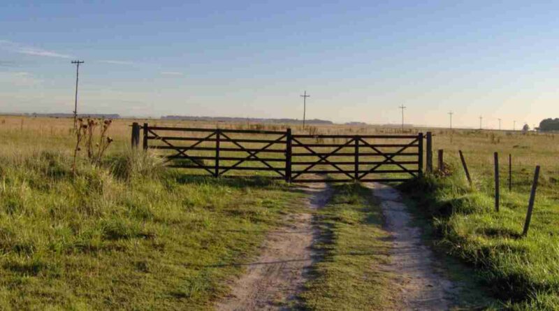 Inmobiliario rural, alquileres agrícolas