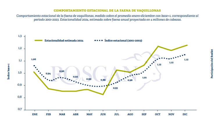 Ganadería, vaquillonas, faena, TERNEROS