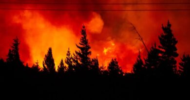 Incendio, Epuyén