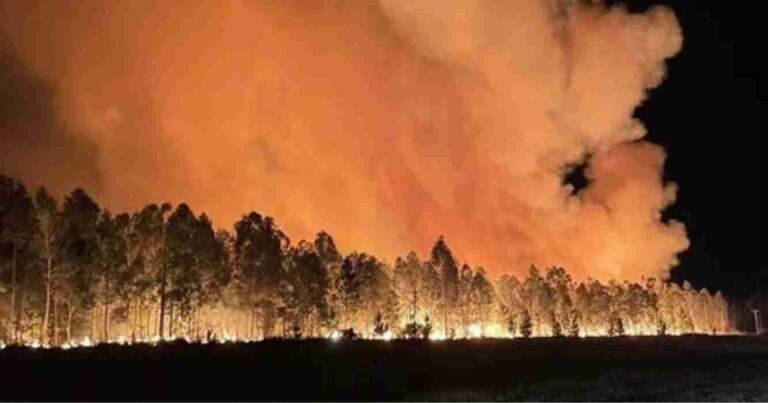 Tandil, incendio