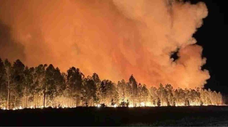 Tandil, incendio