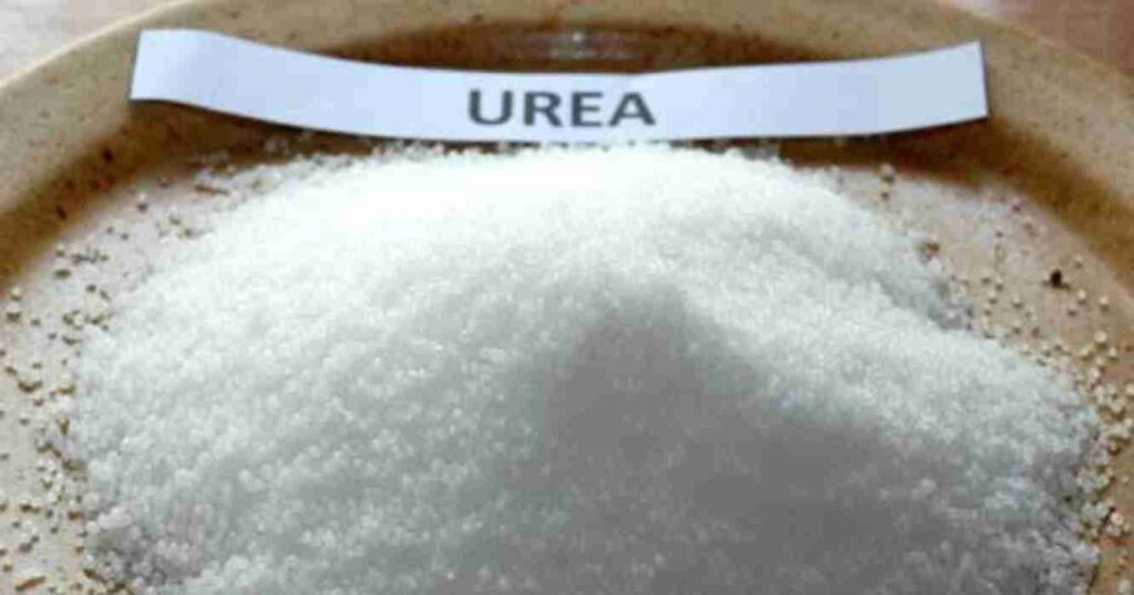 Urea, trigo