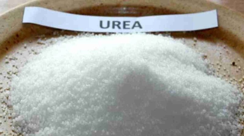 Urea, trigo