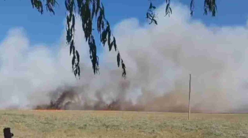 Castelli, asado, fuego, incendio