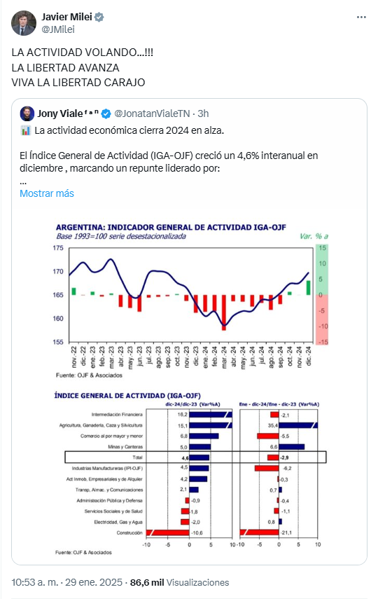 Javier Milei, actividad económica