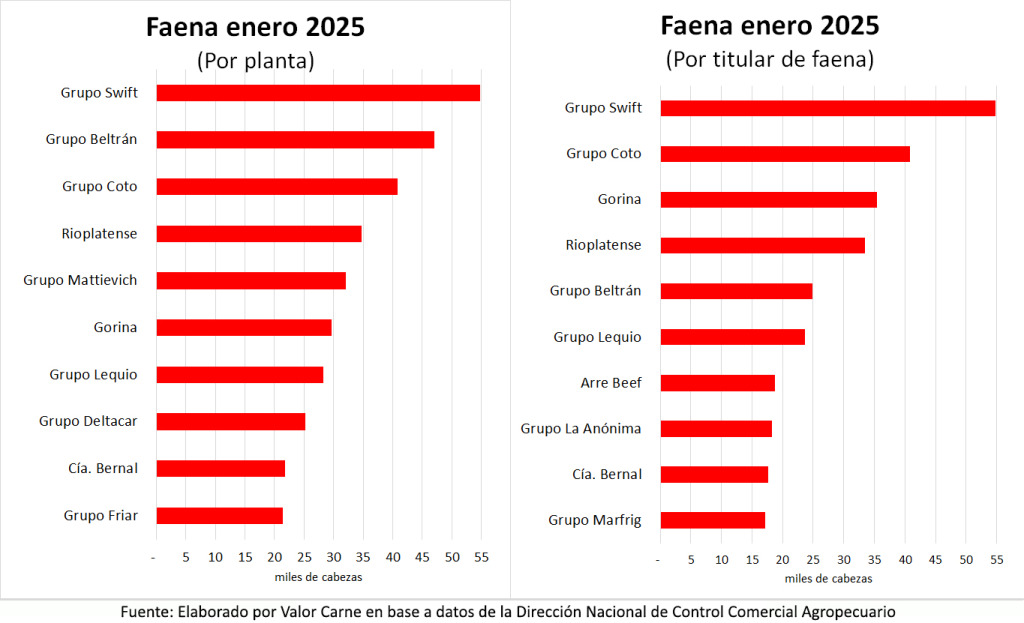 Faena