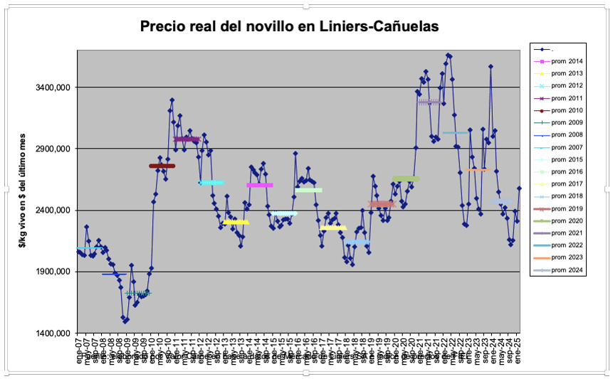 Novillo, ganadería