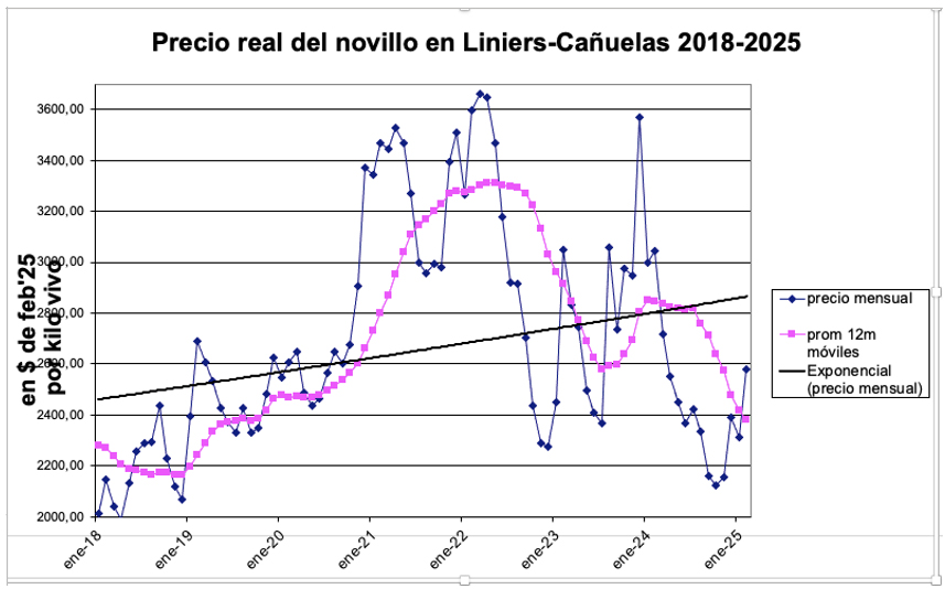 Novillo, ganadería