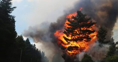 Incendios, Córdoba, clima, Epuyén, El Bolsón