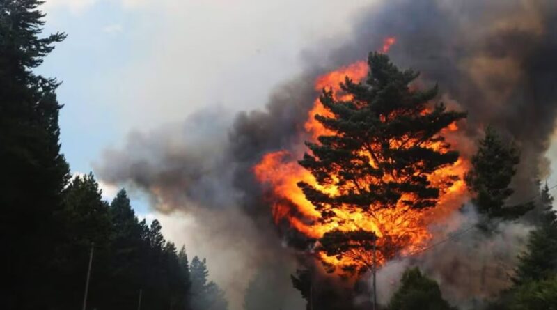 Incendios, Córdoba, clima, Epuyén, El Bolsón