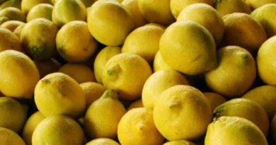 Limon, exportaciones