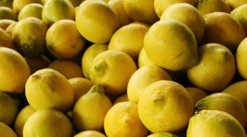 Limon, exportaciones