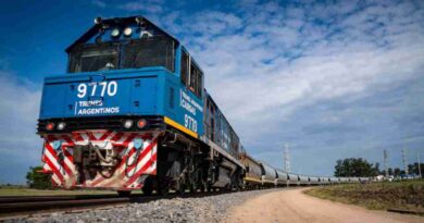 Belgrano Cargas, trenes