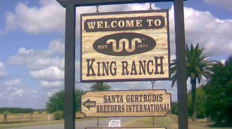 King Ranch, ganadería