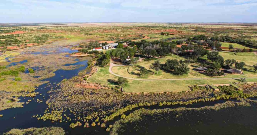 Waggoner, campo, ganadería