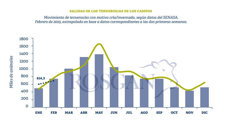 Ganadería, Zafra