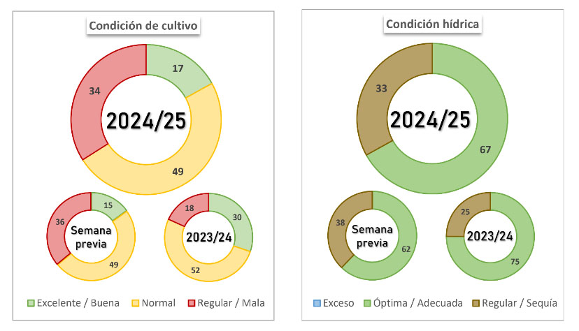 Soja, lluvias